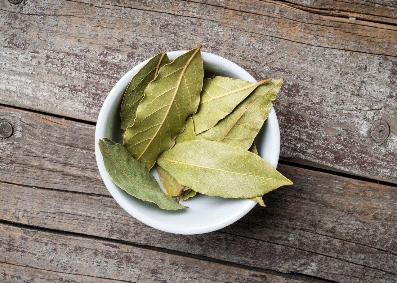 How to Achieve Great Taste with These Bay Leaf Substitutes